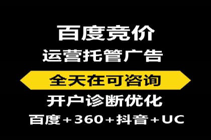 竞价托管服务案例解析